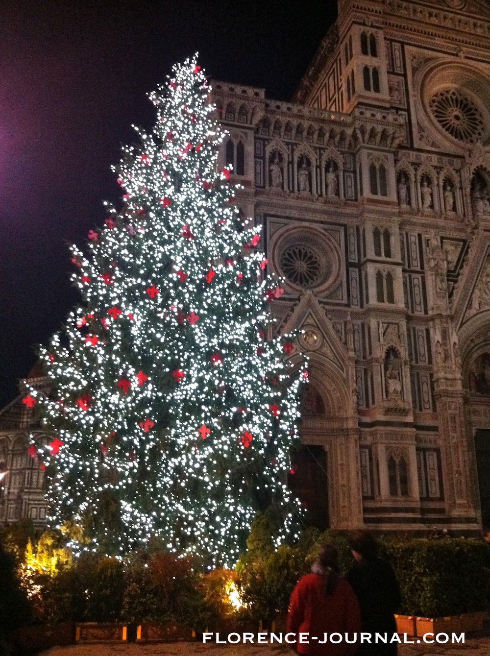 Florence-christimas-tree